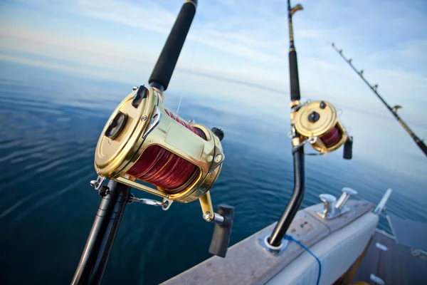 Pesca de caza mayor — Foto de Stock