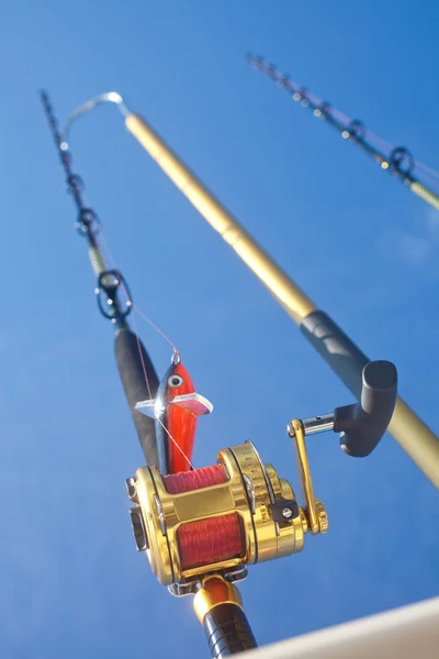 Halászati Big game — Stock Fotó