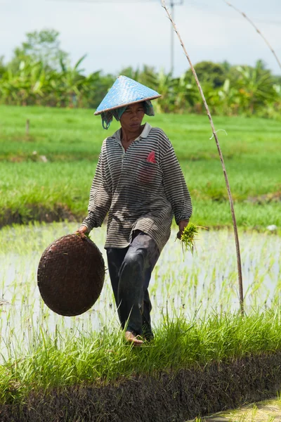 Vrouwelijke boer — Stockfoto
