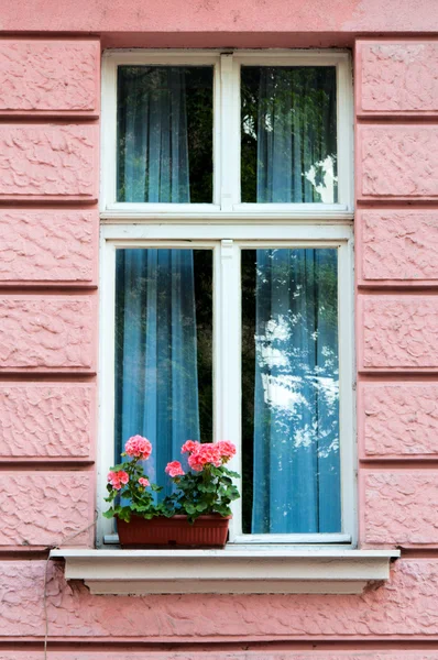 Fenster und Blumen — Stockfoto