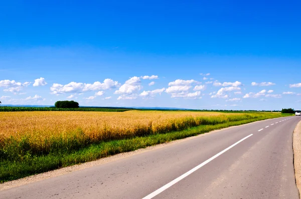 Fields and roud Stock Image
