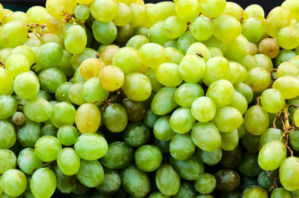 stock image White wine grapes