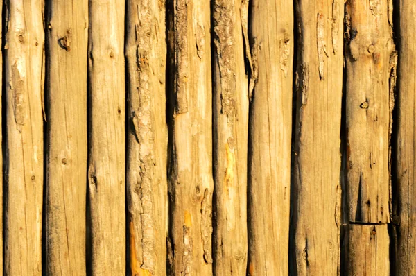 Dřevěný materiál — Stock fotografie