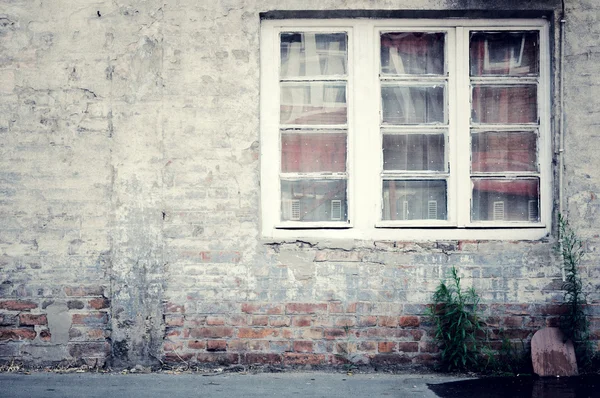 Fenster und Wand — Stockfoto