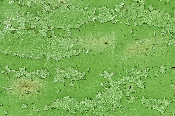 stock image Rusty green