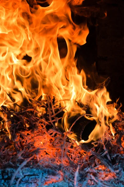 Спалення дерева — стокове фото