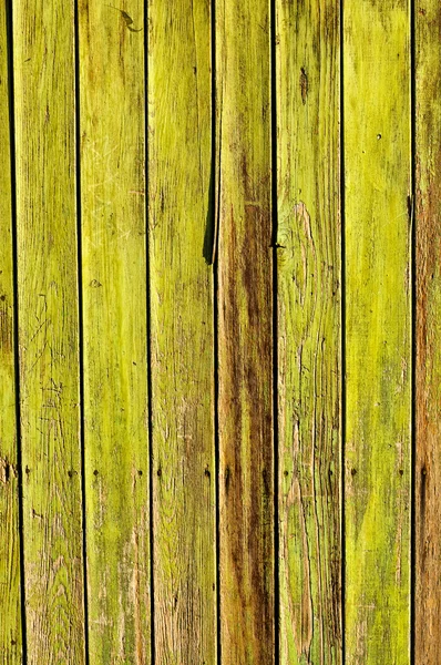 Grön trä bakgrund — Stockfoto