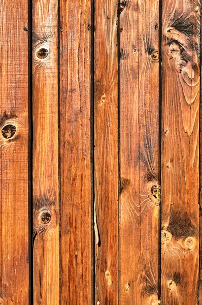 Bacharelado de madeira — Fotografia de Stock