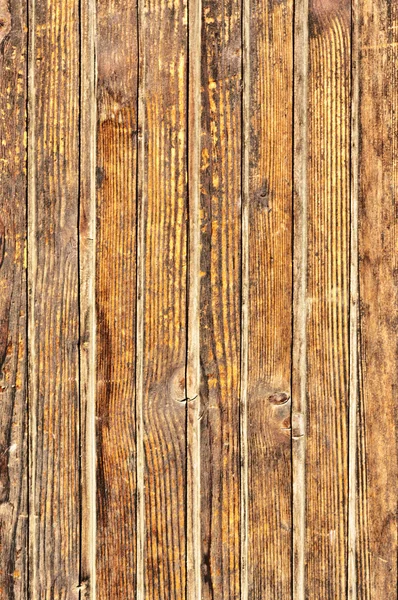 Solo il legno — Foto Stock