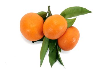 Mandarin