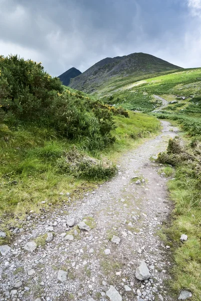 Camino de montaña en Irlanda — Foto de Stock