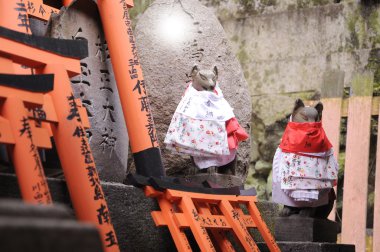 Japon tilki deity zenginlik 2