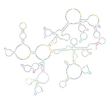 RNA yapısı