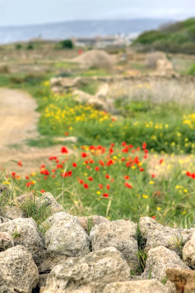 Latchi, district de Paphos, Chypre — Photo