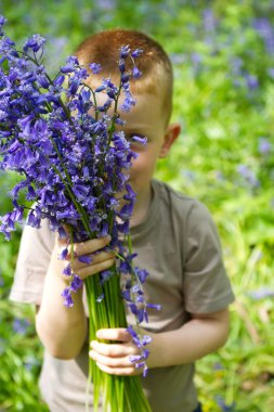 bluebell ormanda oynayan çocuklar