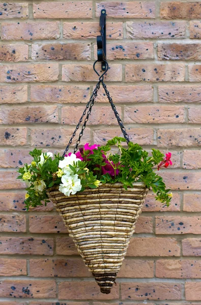 Hanging basket on a brick wall — Stock Photo, Image