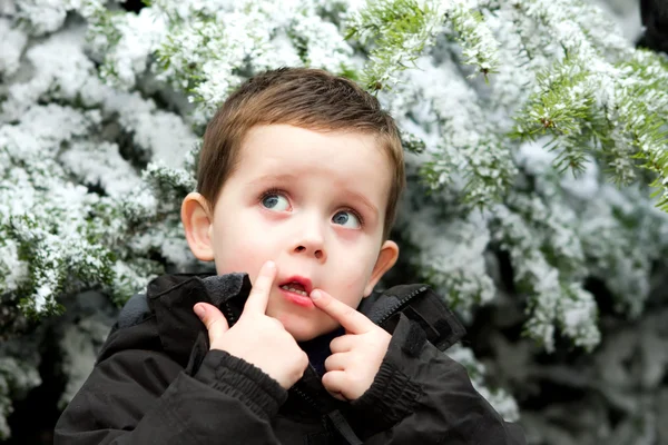 Vinter dreng - Stock-foto