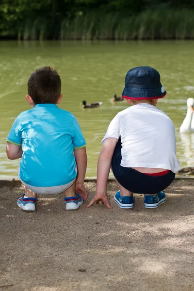 Αγόρια στη λίμνη με πάπιες — Φωτογραφία Αρχείου