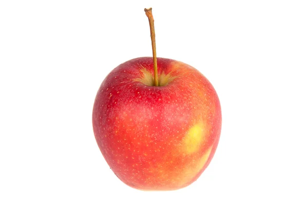 Стиглі червоне яблуко — стокове фото