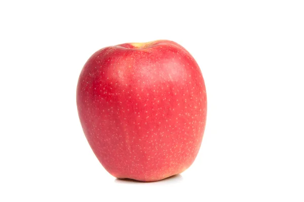 Ώριμα κόκκινο μήλο — Φωτογραφία Αρχείου