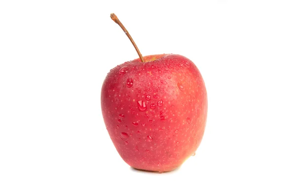 Manzana roja madura —  Fotos de Stock