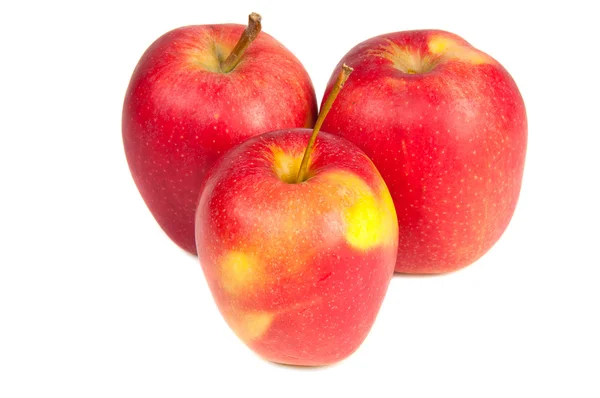 Três maçãs vermelhas frescas — Fotografia de Stock