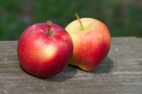 Two delicious apples — Stock Photo, Image