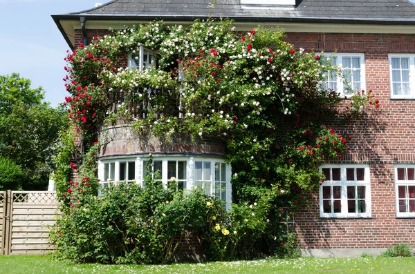 Huis met rozen — Stockfoto