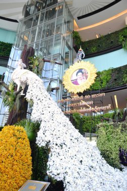 6 siam paragon bangkok Kraliyet orkide cennet 2012