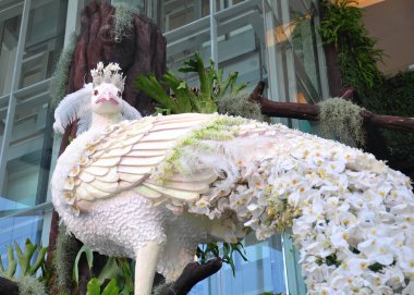 6 siam paragon bangkok Kraliyet orkide cennet 2012