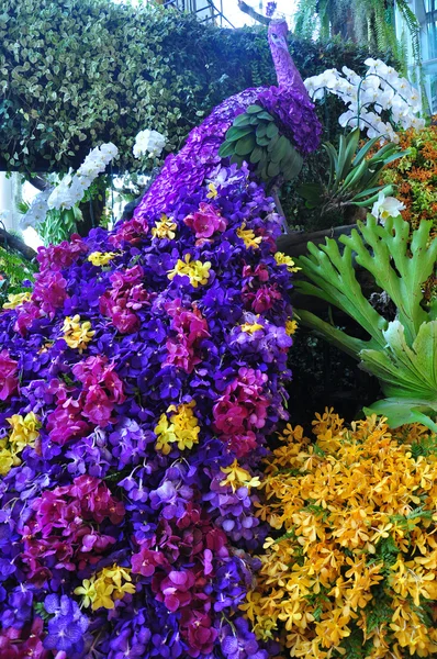 6 Siam Paragon Бангкок Royal Orchid Paradise 2012 — стокове фото