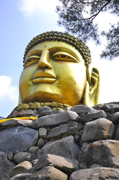 Το πρόσωπο του Βούδα στο ναό wowoojongsa, Κορέα — Φωτογραφία Αρχείου