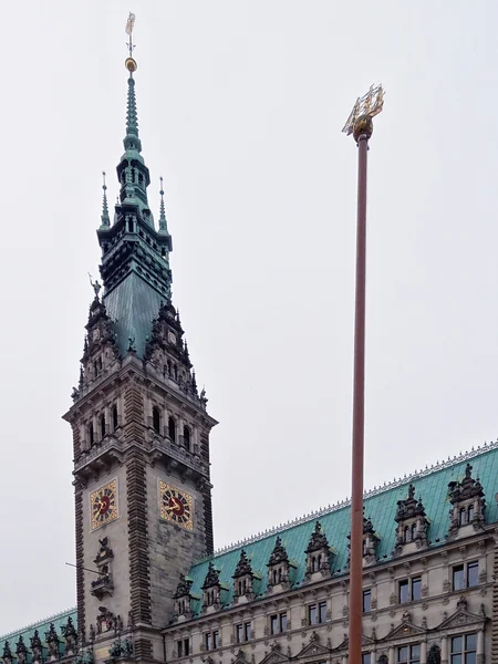 ハンブルク市庁舎 - 2012 — ストック写真