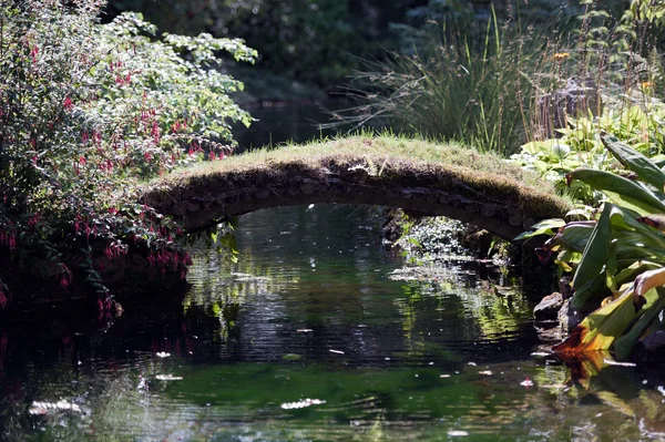 Γέφυρα στον ιαπωνικό κήπο Εικόνα Αρχείου