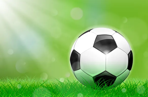 Balón de fútbol en el campo — Vector de stock