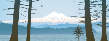 Panoramic view of Mount Baker through trees clipart