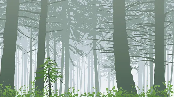 Paesaggio della foresta nebbiosa — Vettoriale Stock
