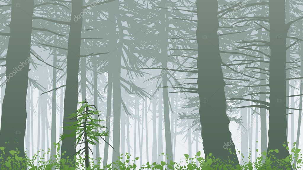 Misty Forest Landscape Vector Image By C Captainprince Vector Stock