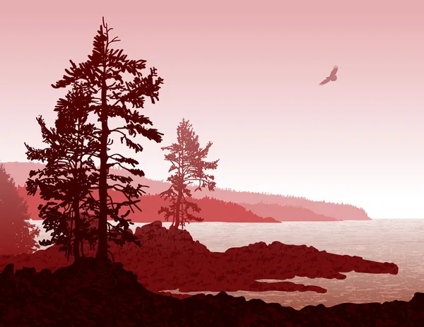 Vancouver Island BC West Coast Landscape — Stock Vector