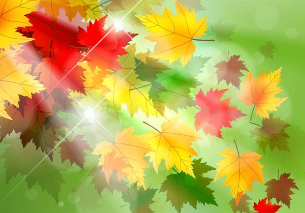 Vibrant Autumn Maple Leaf Background — Stock Vector
