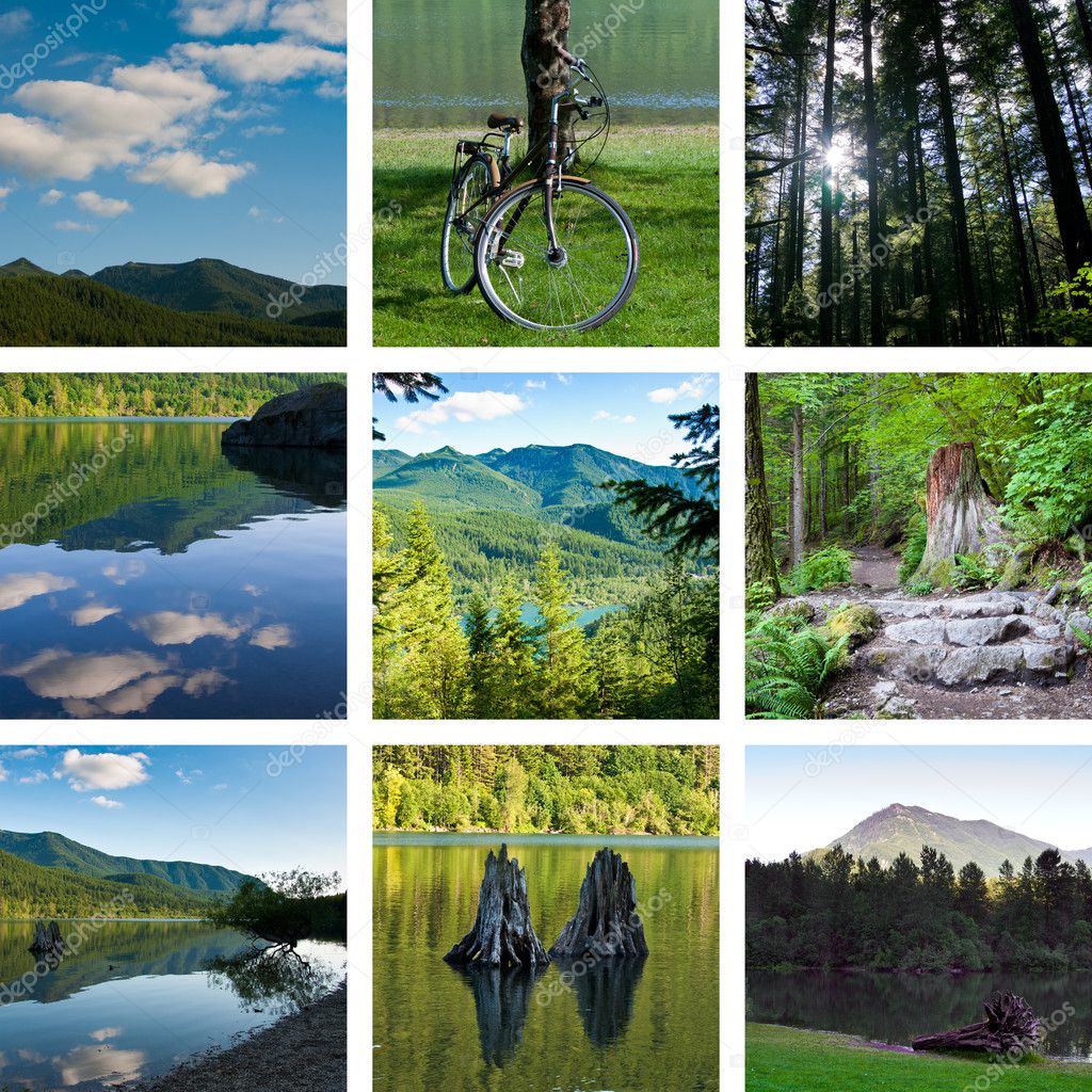 Lake and forest hiking trail collage