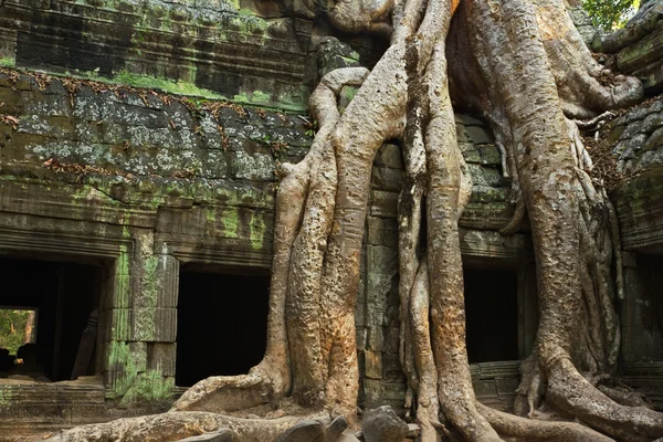 Angkor wat — Zdjęcie stockowe