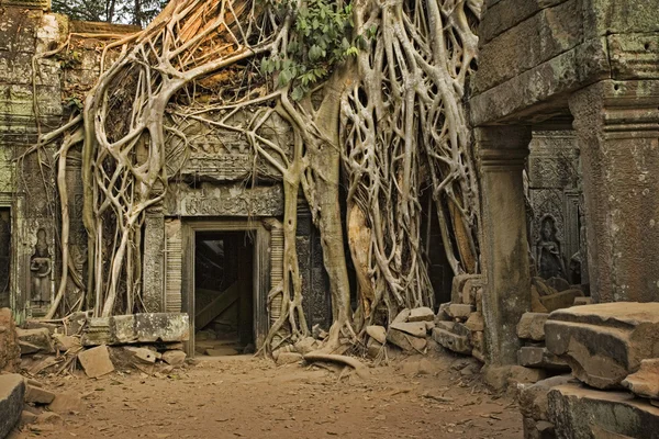 Angkor wat —  Fotos de Stock