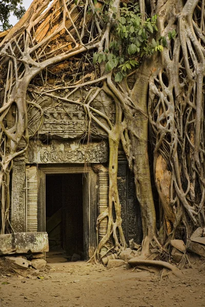 stock image Angkor Wat