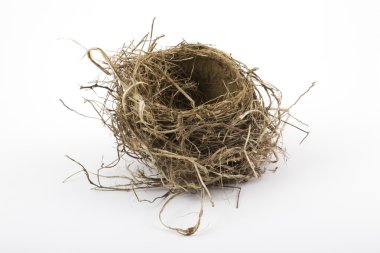 Bird Nest clipart