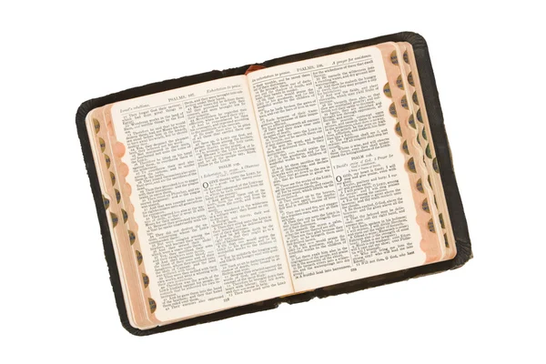 Holly Bible — Stock Photo, Image