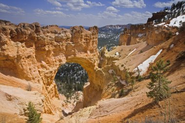 Bryce Canyon clipart
