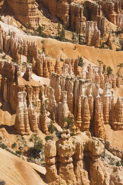 Canyon de Bryce — Photo