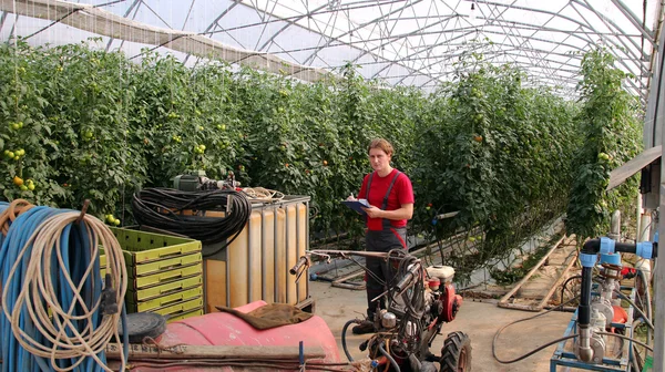 Worker in Commercial Greenhouse — Stock Photo, Image