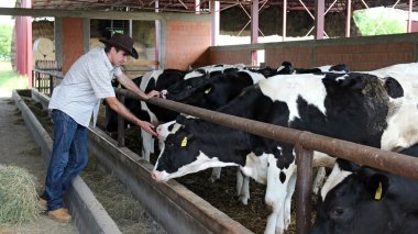 Farmer In His Cow Farm clipart